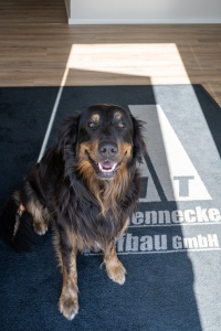 Axel Hennecke Tiefbau GmbH - Hund Simba