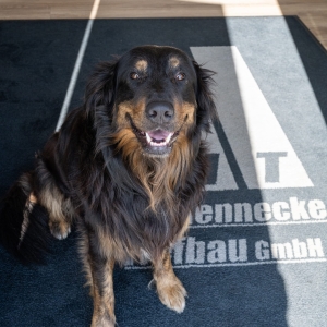 Axel Hennecke Tiefbau GmbH - Hund Simba